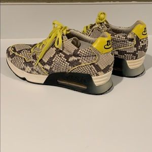 Women’s Ash sneakers